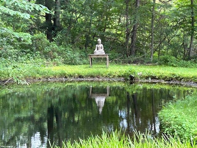 85 Browns Road Newfane, VT 05345 - Photo 3 of 58