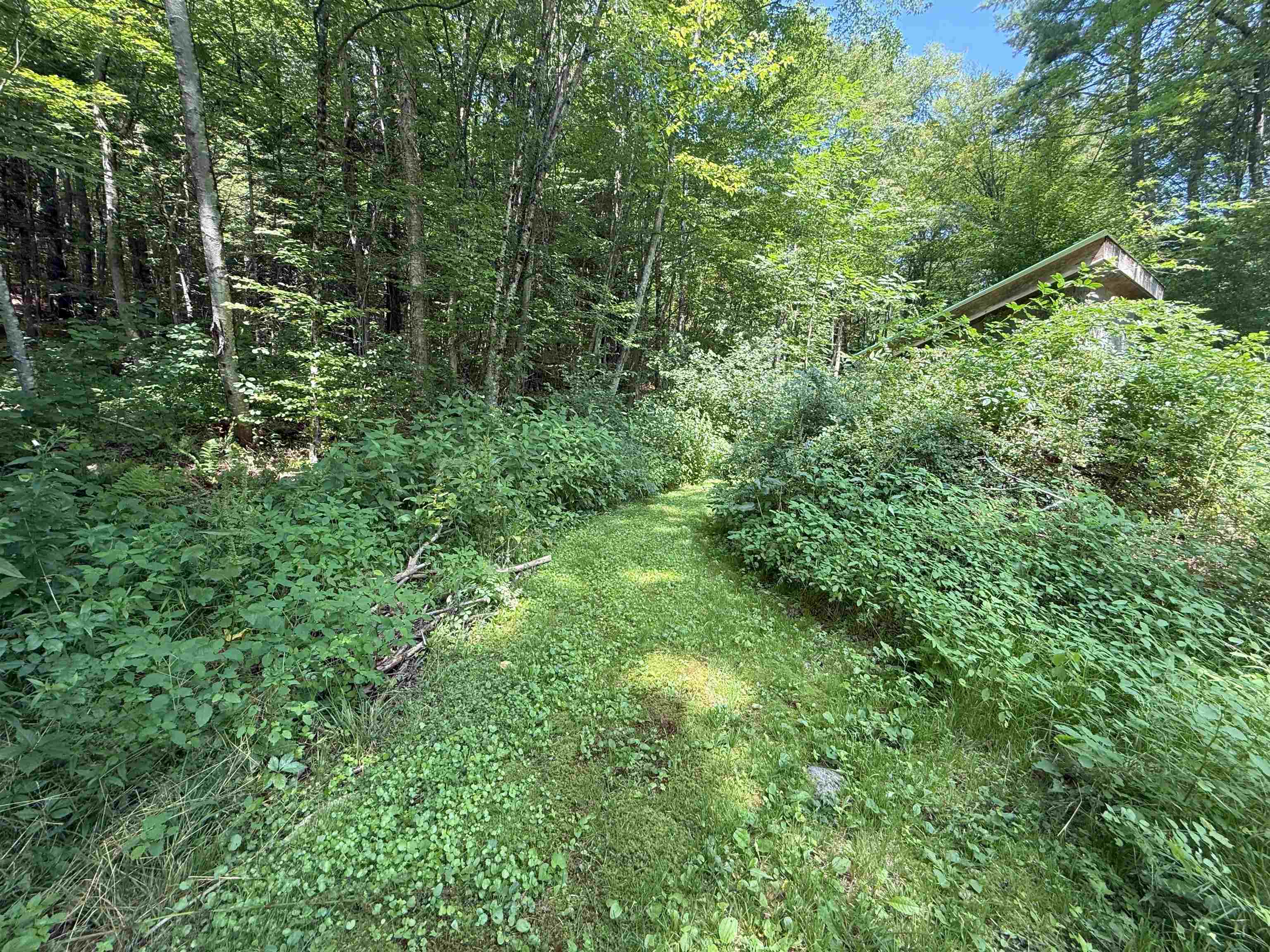 85 Browns Road Newfane, VT 05345 - Photo 55 of 58