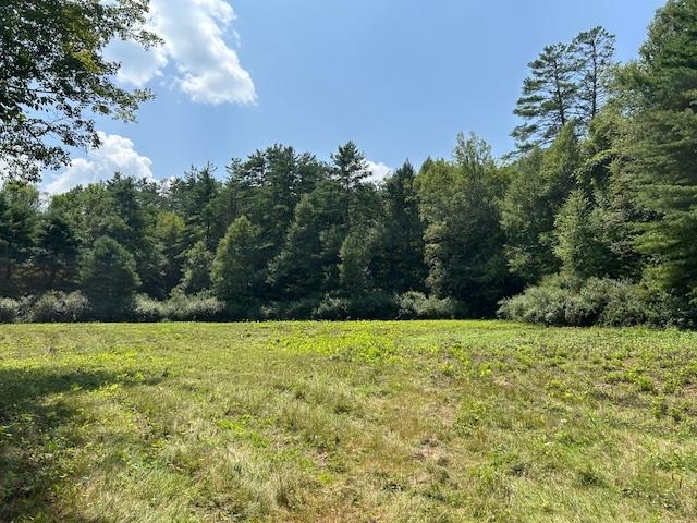 85 Browns Road Newfane, VT 05345 - Photo 57 of 58