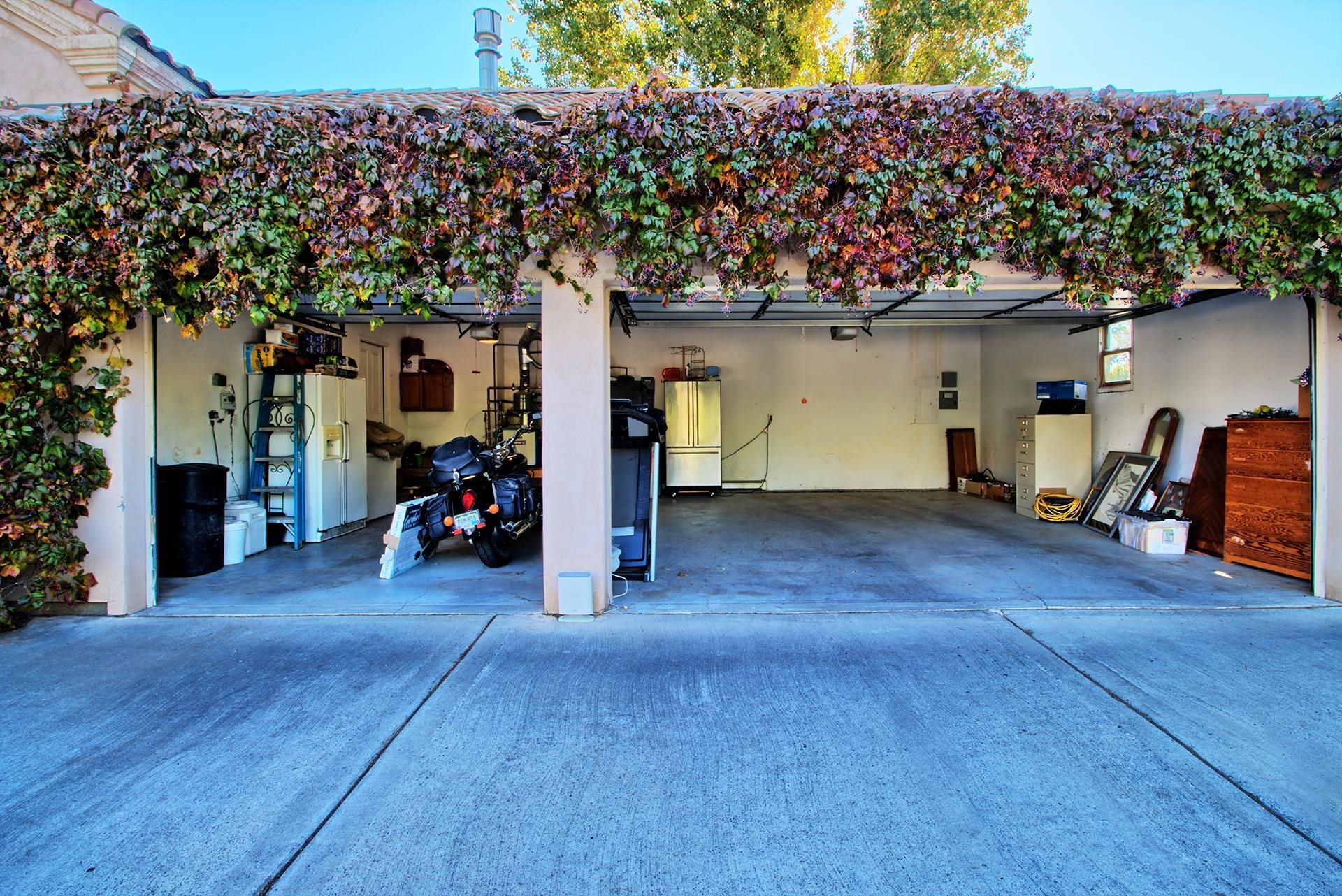 3310 C Road Palisade, CO 81526 - Photo 13 of 41 a view of a big room with potted plants and large tree