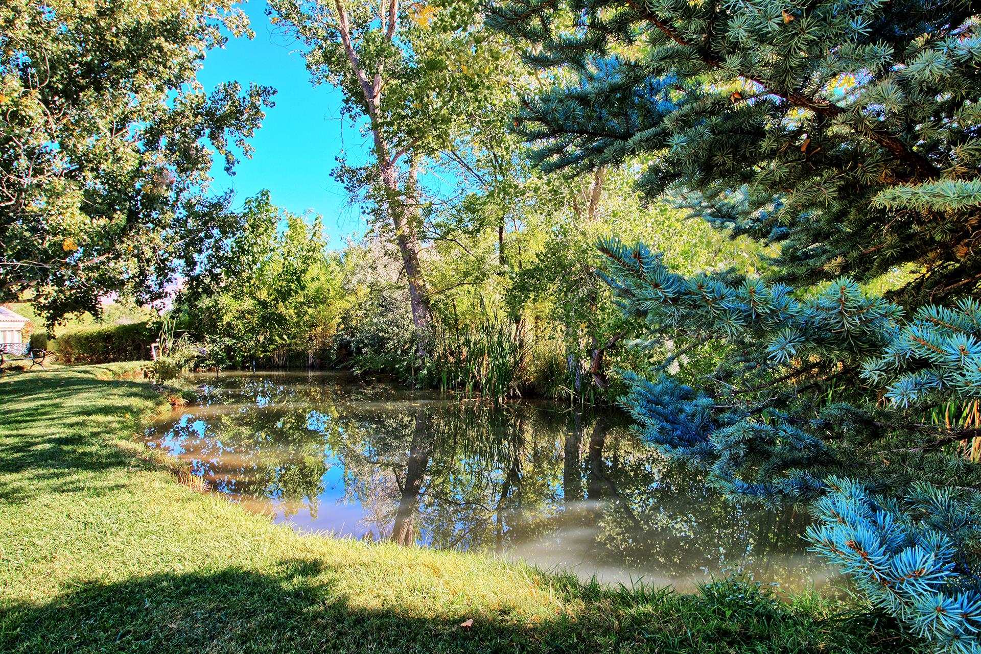 3310 C Road Palisade, CO 81526 - Photo 9 of 41 a view of a lake view