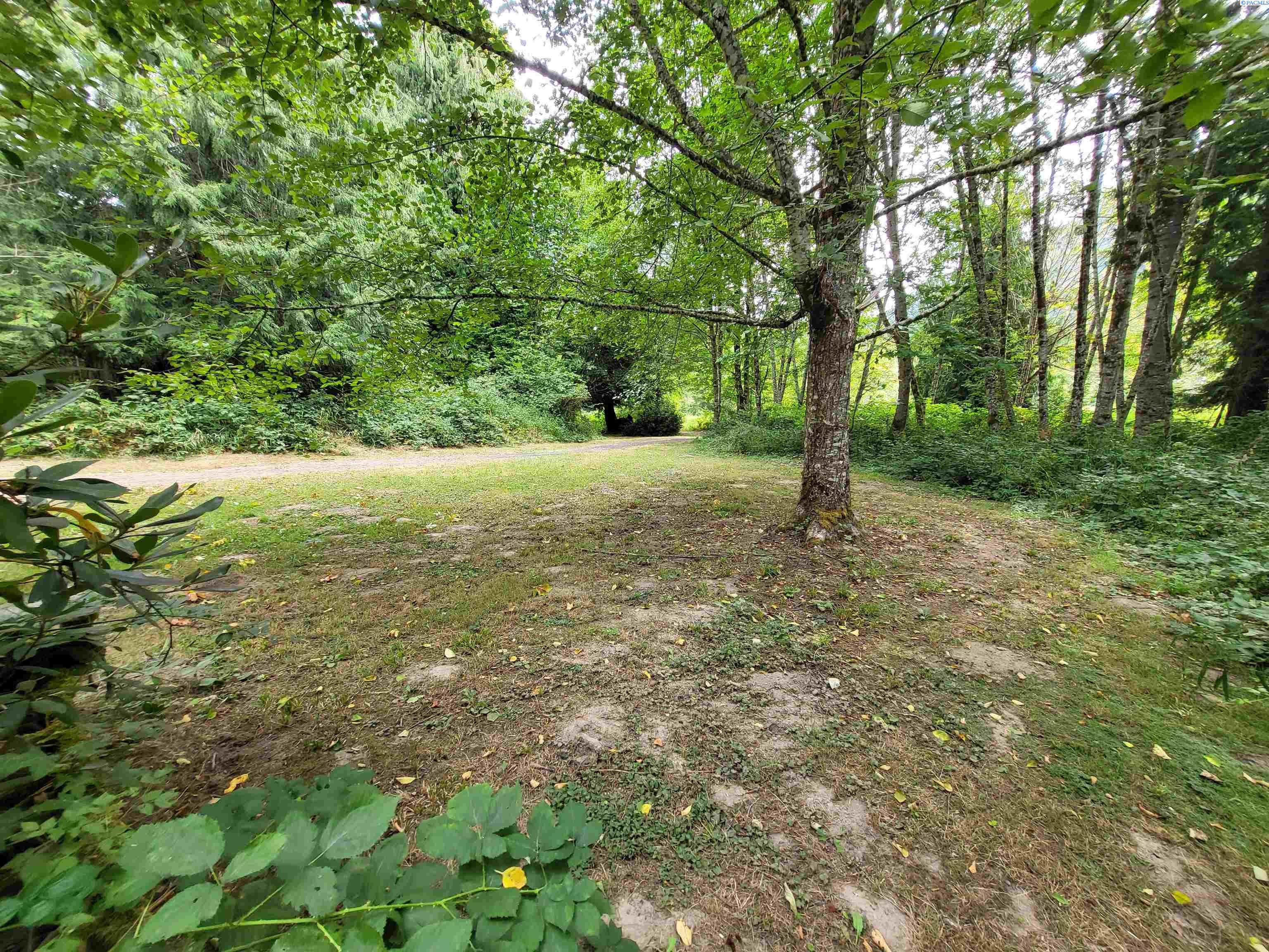 117 Cedar Grove Road Randle, WA 98377 - Photo 28 of 49 Gallery Image 28