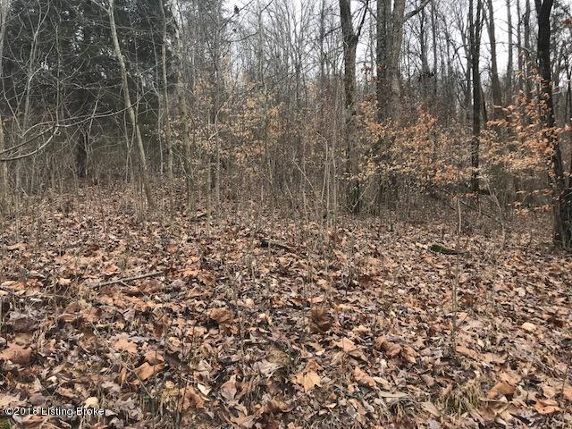 20 Tara Road Cub Run, KY 42729 - Photo 7 of 8 7