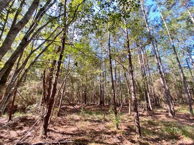 13114 Boyd Road Covington, LA 70435 - Photo 7 of 9