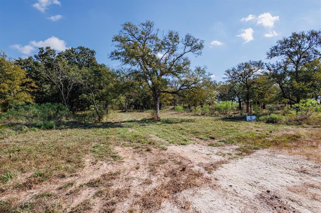 342 Tatanka Trail Gustine, TX 76455 - Photo 9 of 24