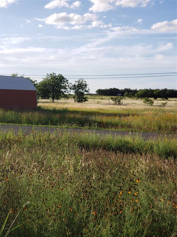 183 County Road 183 Road Bangs, TX 76823 - Photo 3 of 3