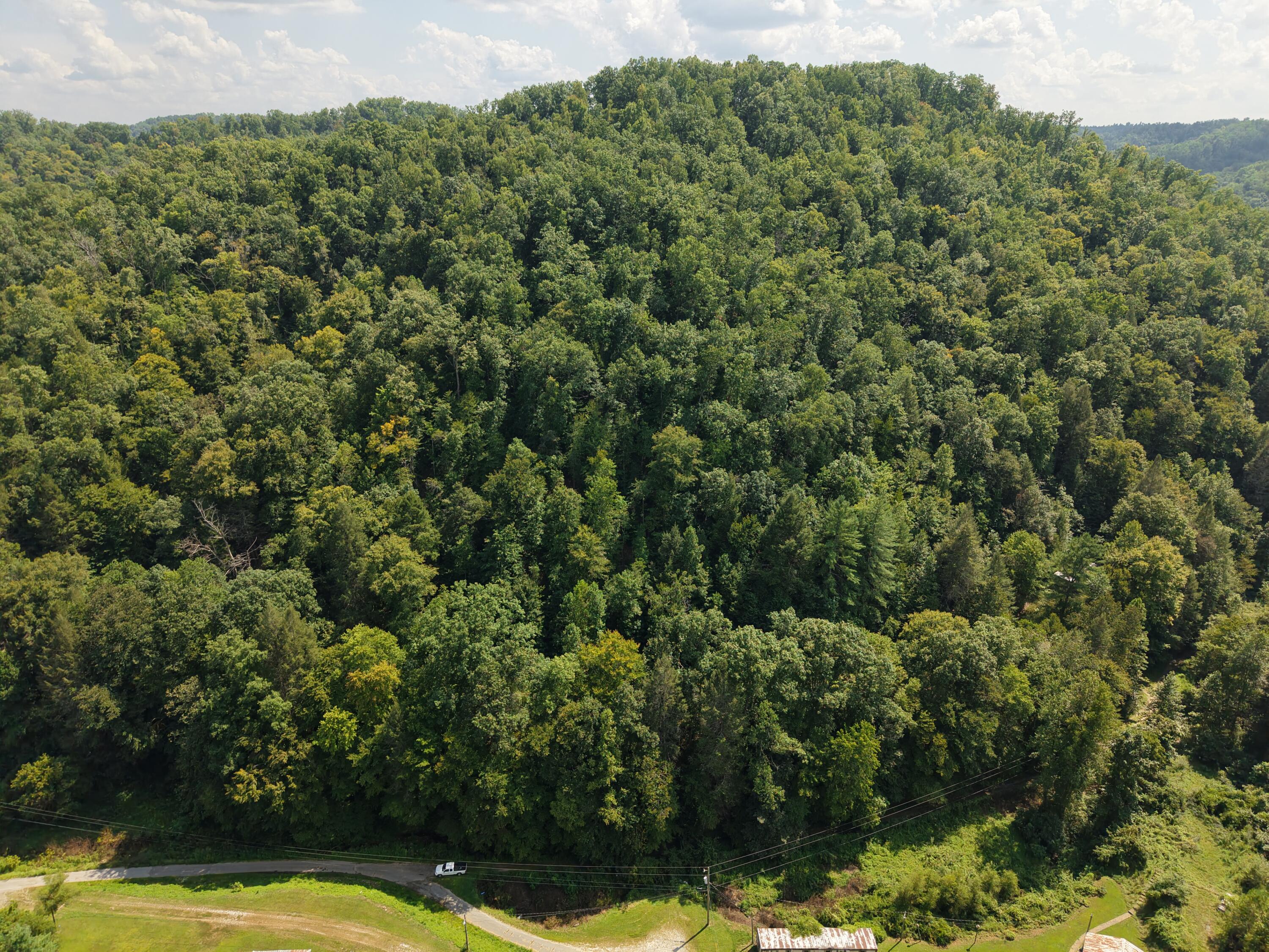 1081 Wooten Fork Road Tomahawk, KY 41262 - Photo 3 of 5 dji_fly_20260828_143646_0107_17881905494