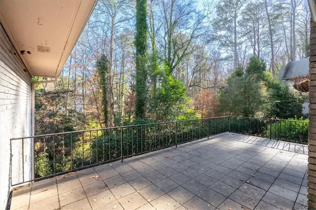a view of a yard with plants and large trees