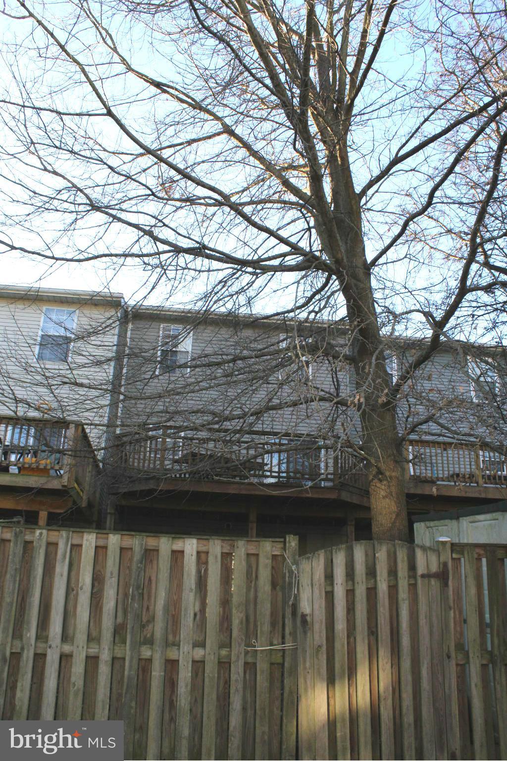 358 Rambling Ridge Court Pasadena, MD 21122 - Photo 5 of 6 a view of a wooden fence under a large tree