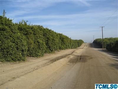 0 Phillips Road McFarland, CA 93250 - Photo 4 of 4 Additional Photo