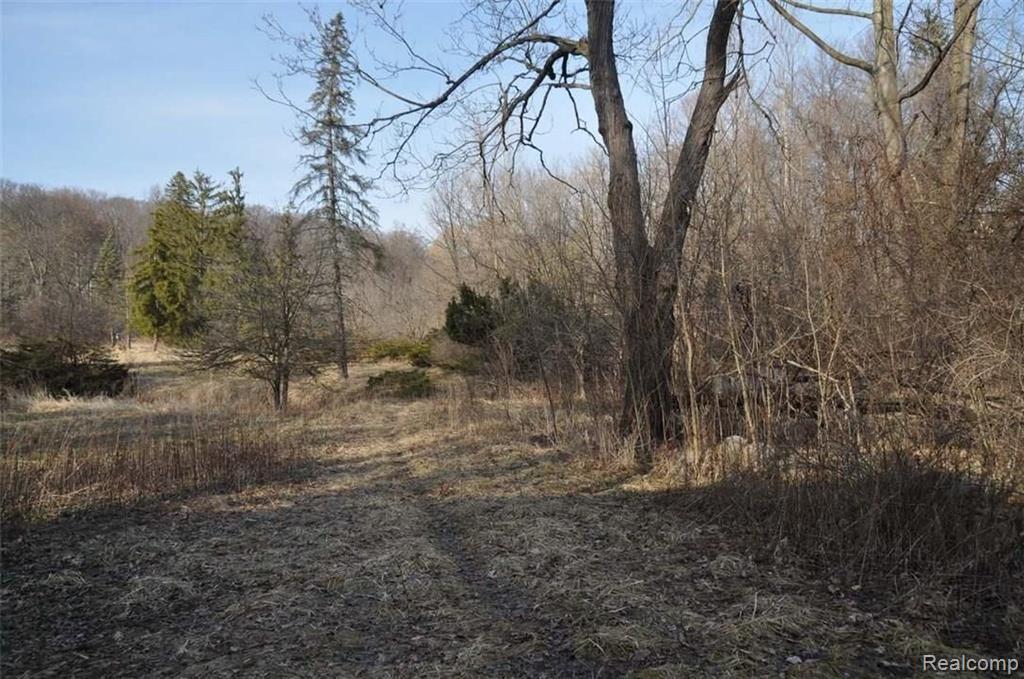 36391 Howard Road Farmington Hills, MI 48331 - Photo 10 of 17