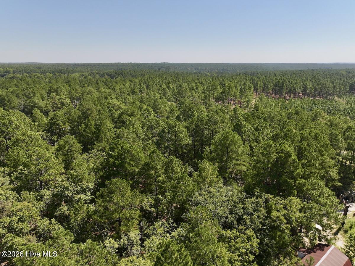 Lot 10 Marks Road Cameron, NC 28326 - Photo 7 of 19 Gallery Image 7