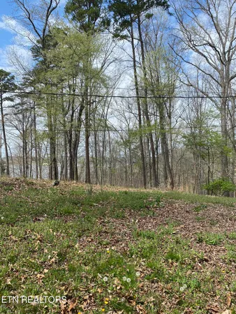 $19,900 | Lot 429 Mayflower Lane, Dandridge, TN 37725