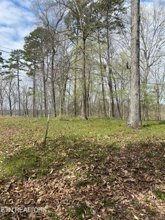 $19,900 | Lot 429 Mayflower Lane, Dandridge, TN 37725