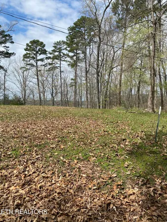 $19,900 | Lot 429 Mayflower Lane, Dandridge, TN 37725