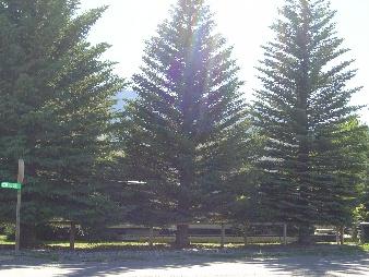 506 South Main Mackay, ID 83251 - Photo 1 of 1 Primary Photo