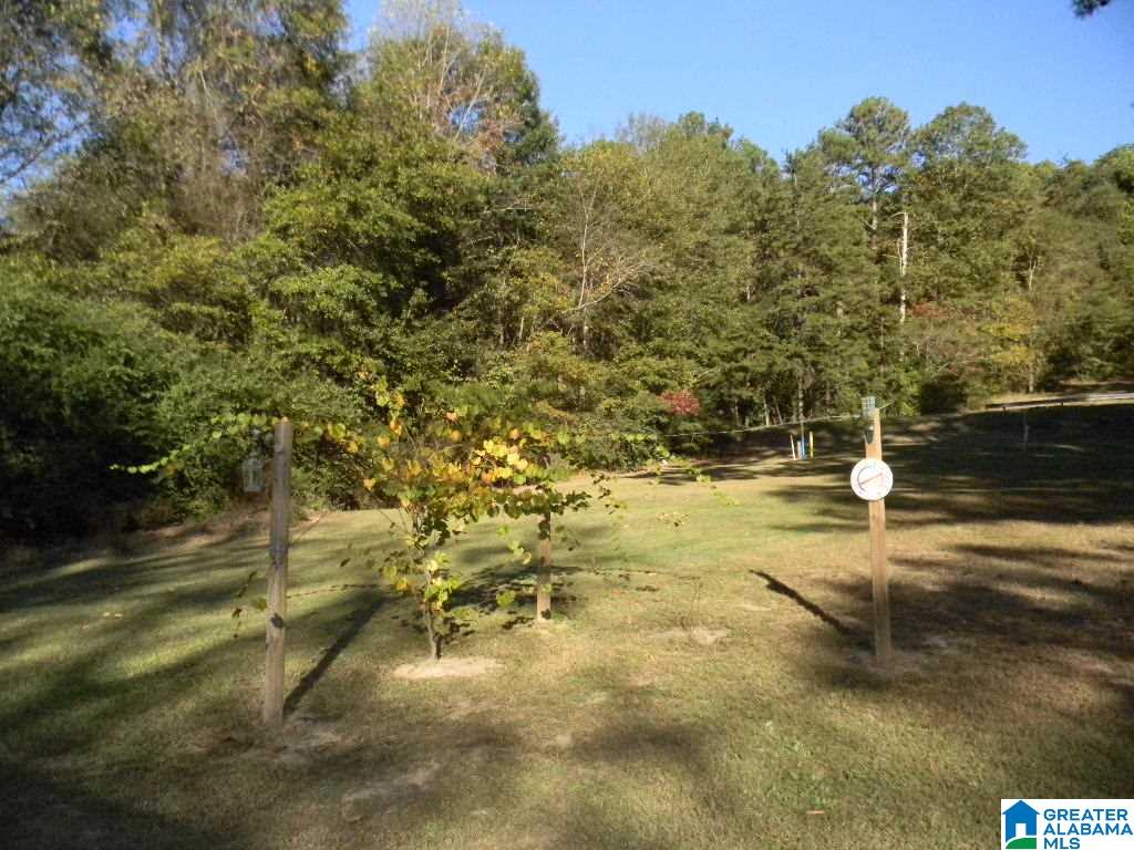 32 Markeeta Road Leeds, AL 35094 - Photo 6 of 15