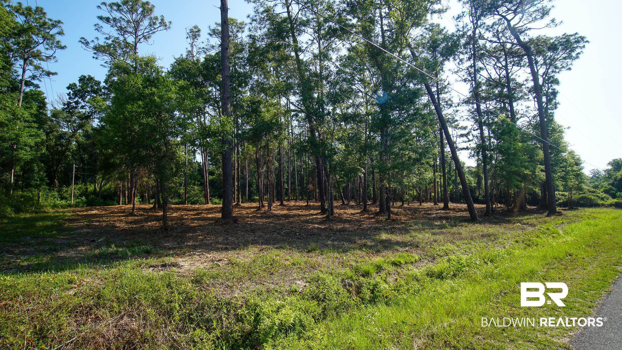 0 Antietam Road Lillian, AL 36549 - Photo 24 of 32