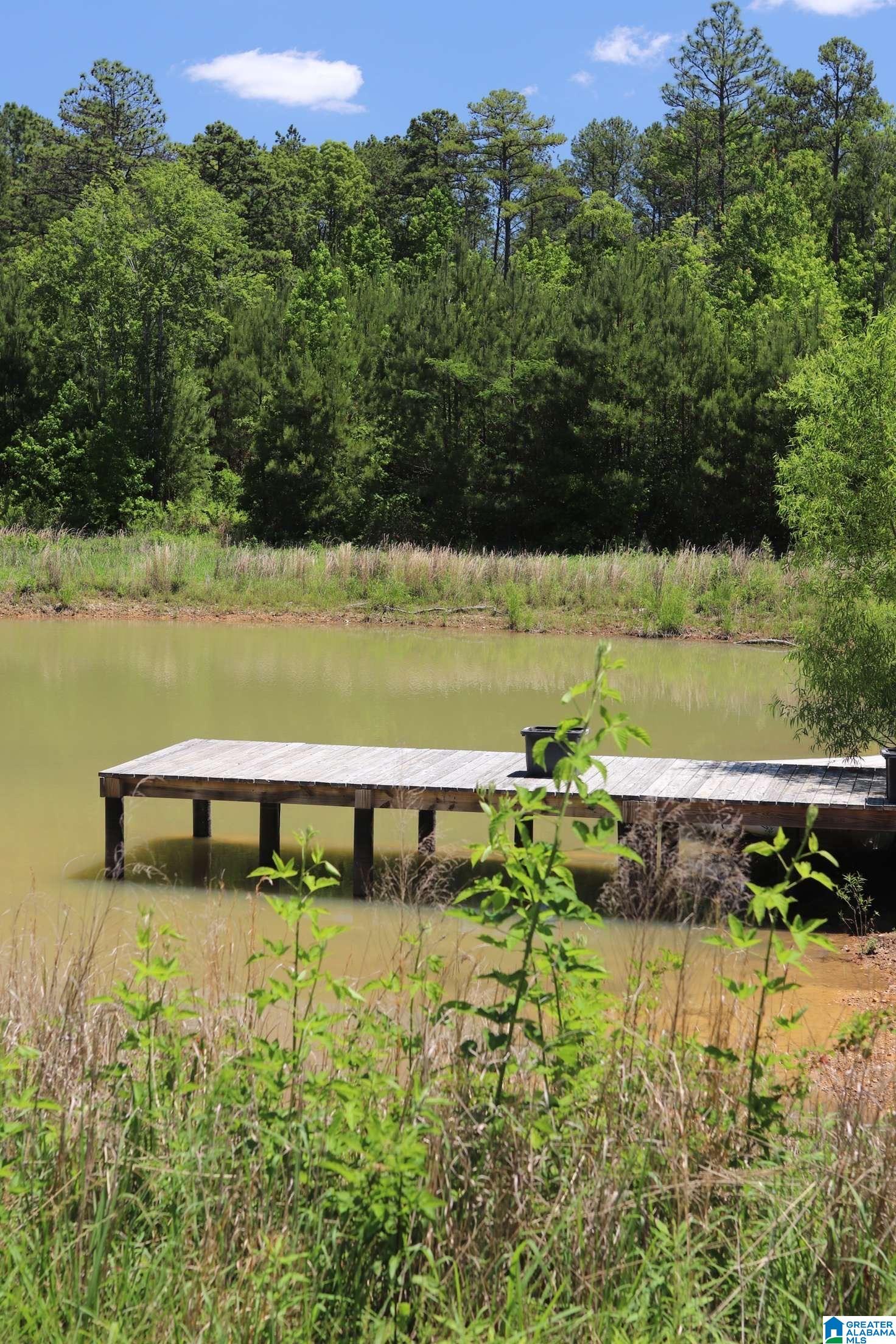 2930 Shocco Springs Road Talladega, AL 35160 - Photo 57 of 93