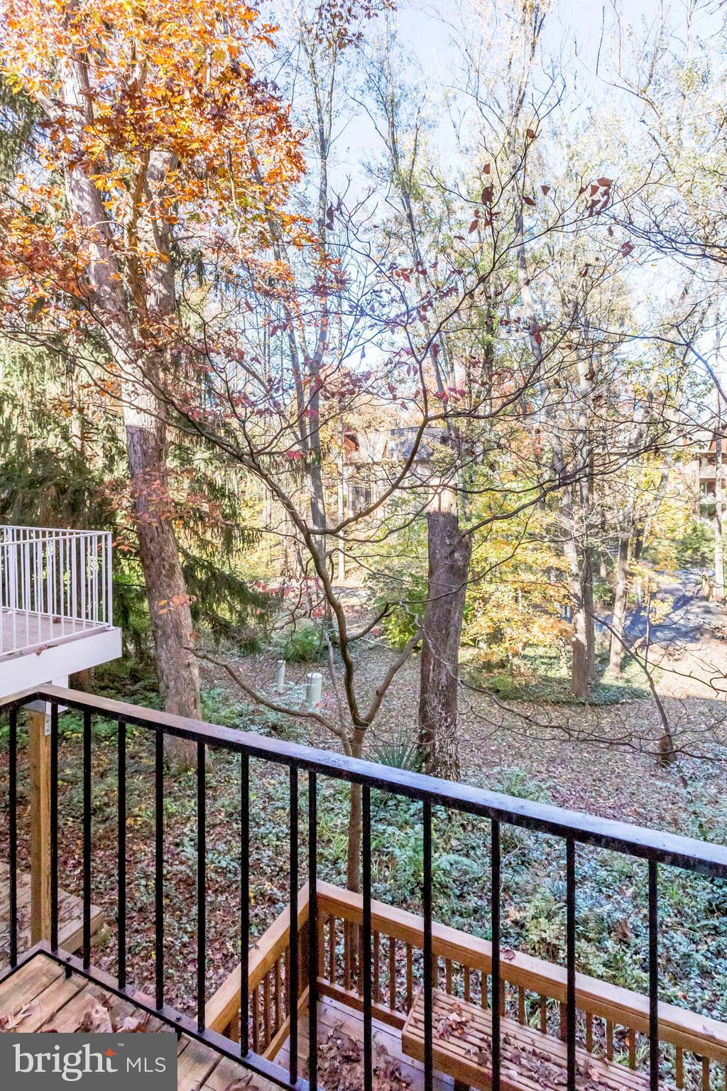1662 Wainwright Drive Reston, VA 20190 - Photo 36 of 46 View from balcony