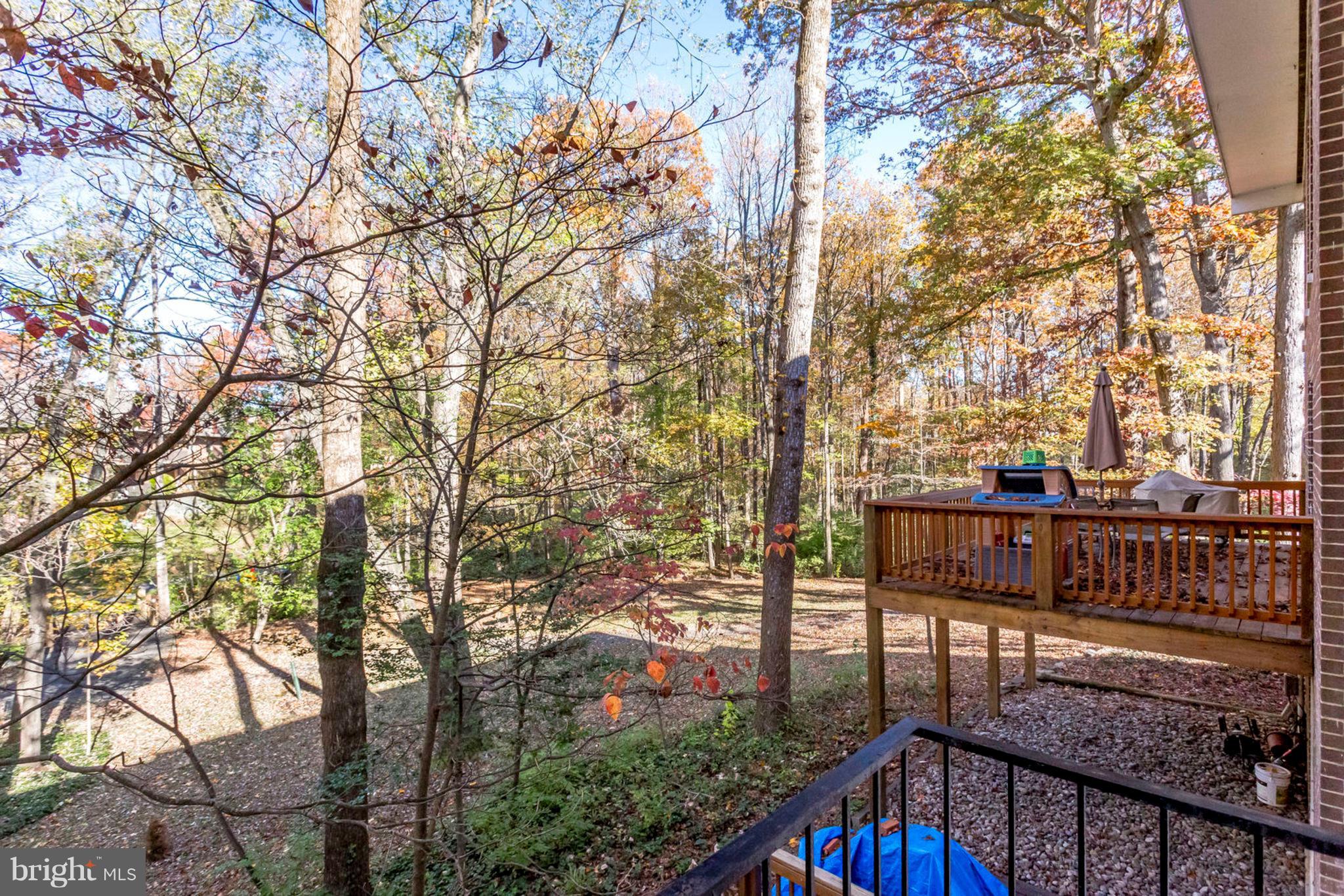 1662 Wainwright Drive Reston, VA 20190 - Photo 38 of 46 View from balcony