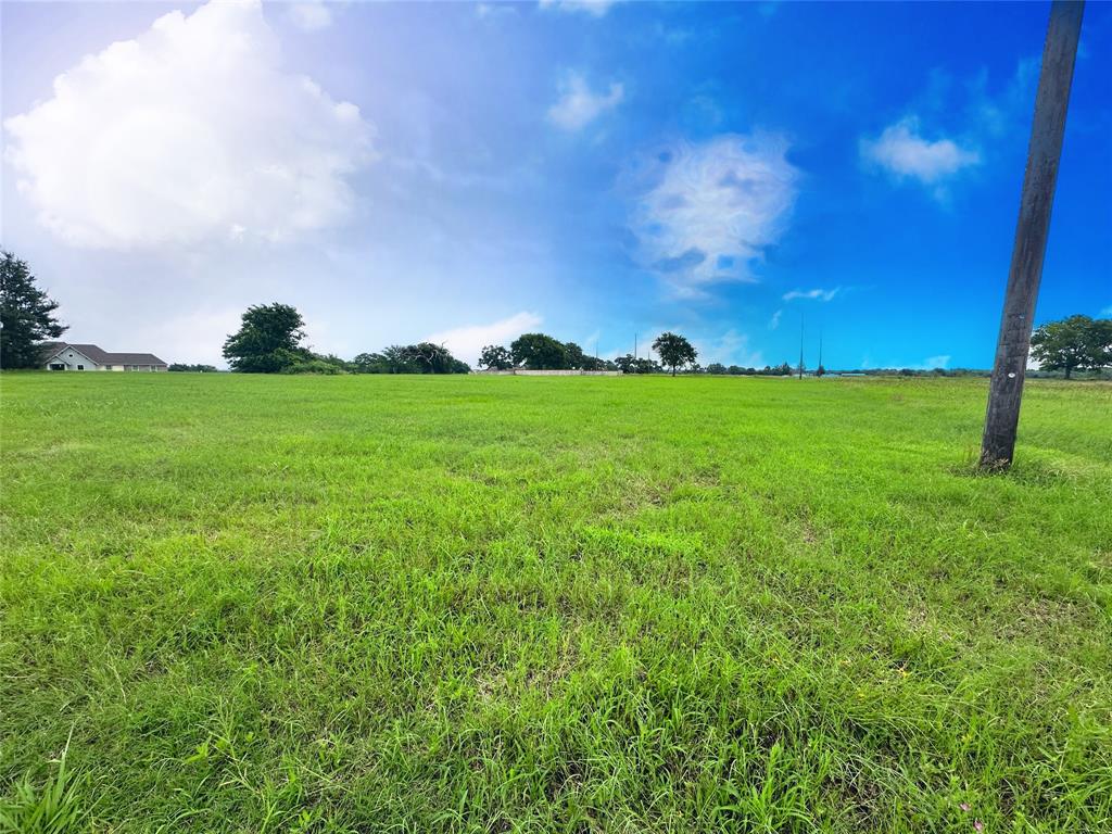 Lot 90 Vista Ridge Corsicana, TX 75109 - Photo 12 of 35 a view of a field with plants and a big yard