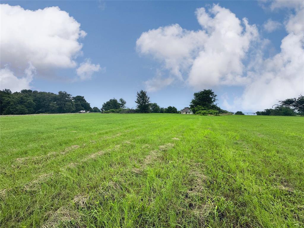 Lot 90 Vista Ridge Corsicana, TX 75109 - Photo 23 of 35 a view of a big yard with plants and a large tree