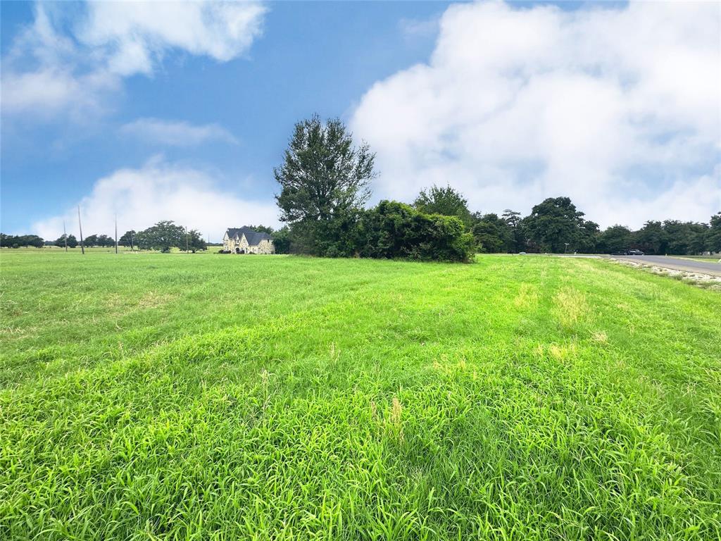 Lot 90 Vista Ridge Corsicana, TX 75109 - Photo 25 of 35 a view of a big yard with plants and a large tree