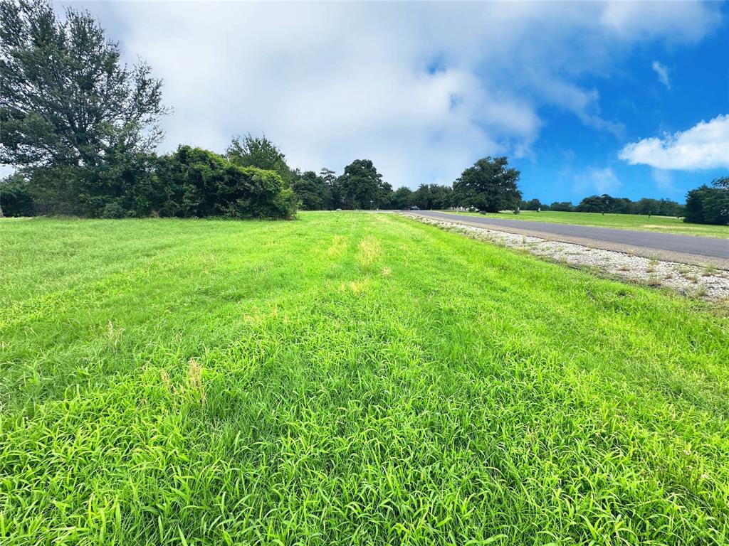 Lot 90 Vista Ridge Corsicana, TX 75109 - Photo 27 of 35 a view of a grassy field with an trees