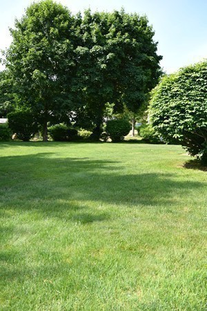 14 Manomet Road Woburn, MA 01801 - Photo 23 of 29