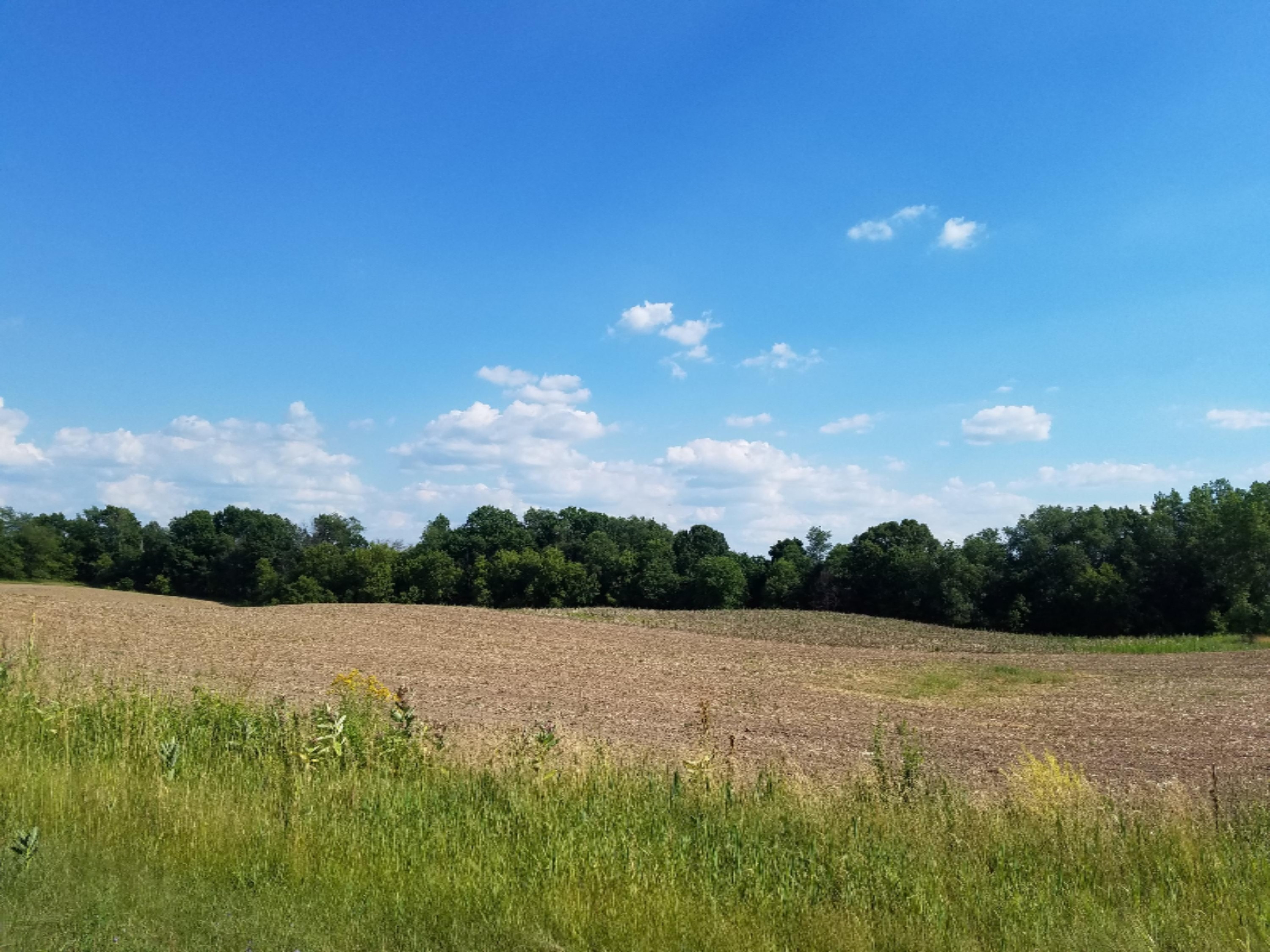 11386 5 Mile Road Northeast, Unit B Lowell, MI 49331 - Photo 6 of 7 20160630_172006