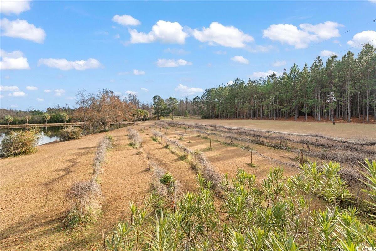 739-741 Jones Road Lake City, SC 29560 - Photo 39 of 39