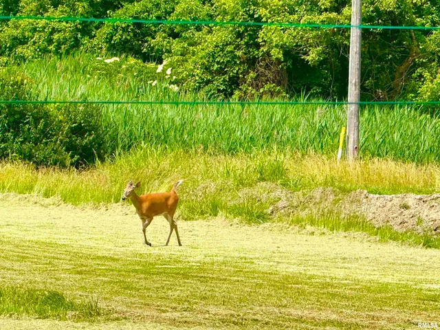 $85,900 | 401 South 7th Street, Herrin, IL 62948