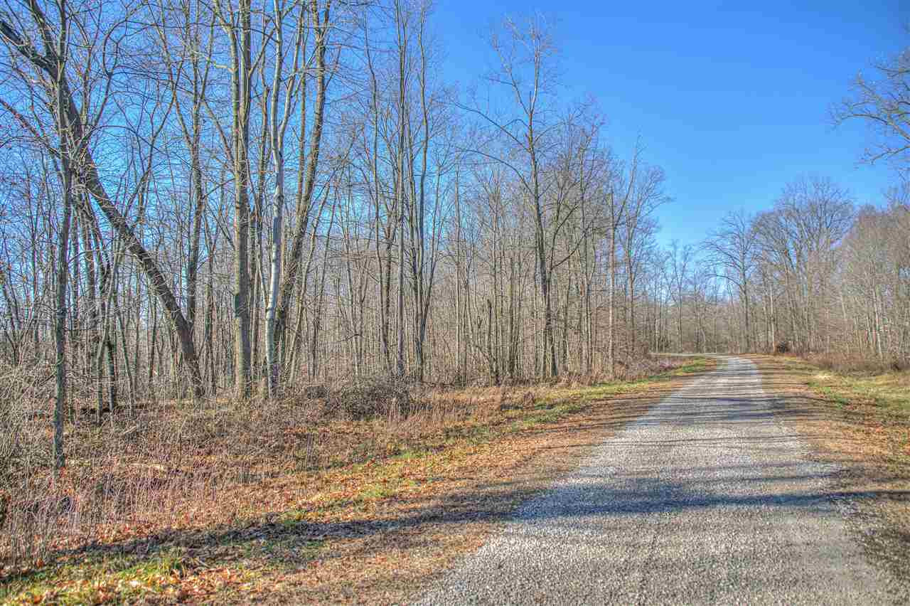 6551 Nye Road, Unit FISCHER'S DRIVE Hudson, MI 49247 - Photo 5 of 10 Photo 5