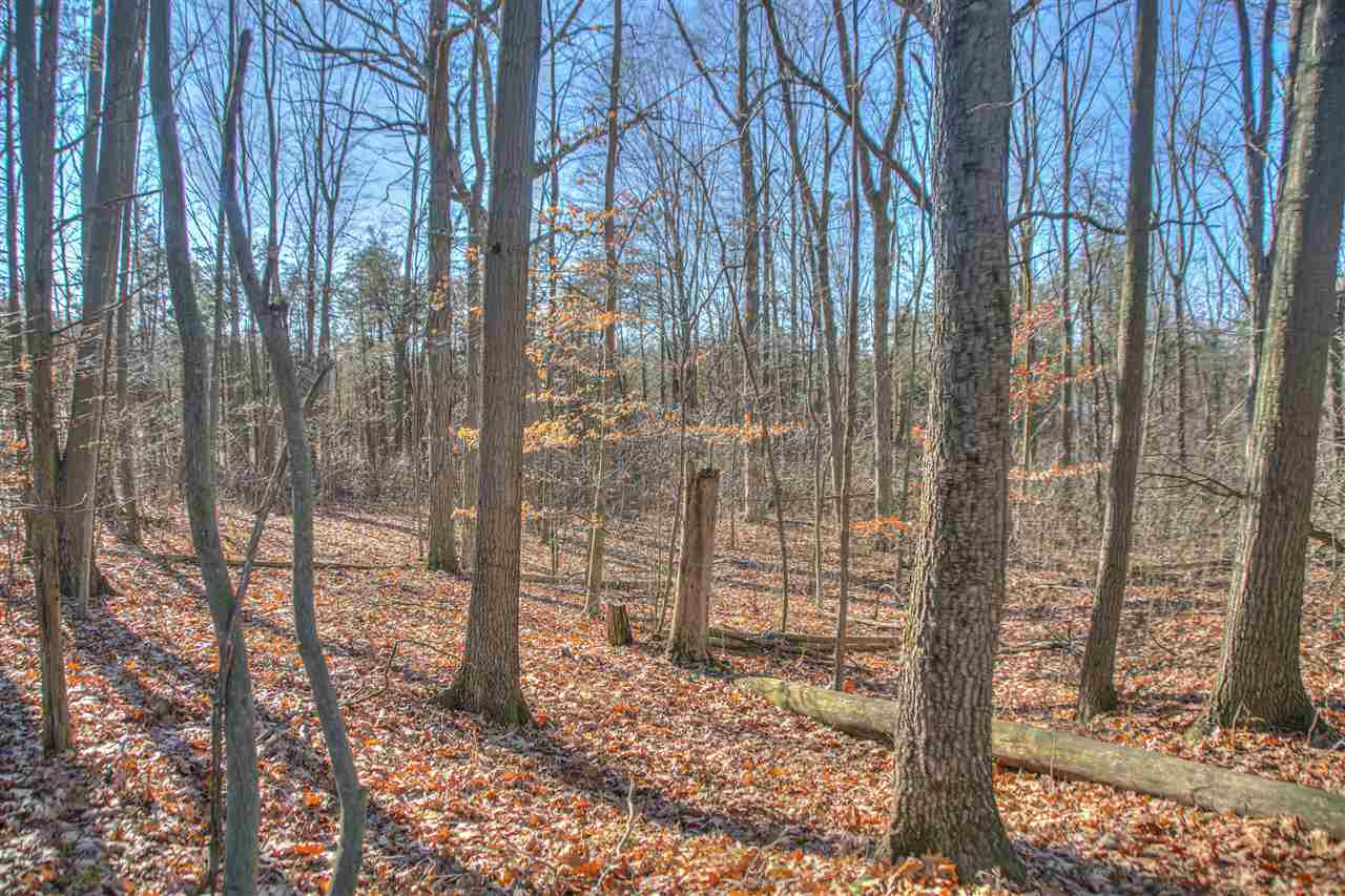 6551 Nye Road, Unit FISCHER'S DRIVE Hudson, MI 49247 - Photo 6 of 10 Photo 6