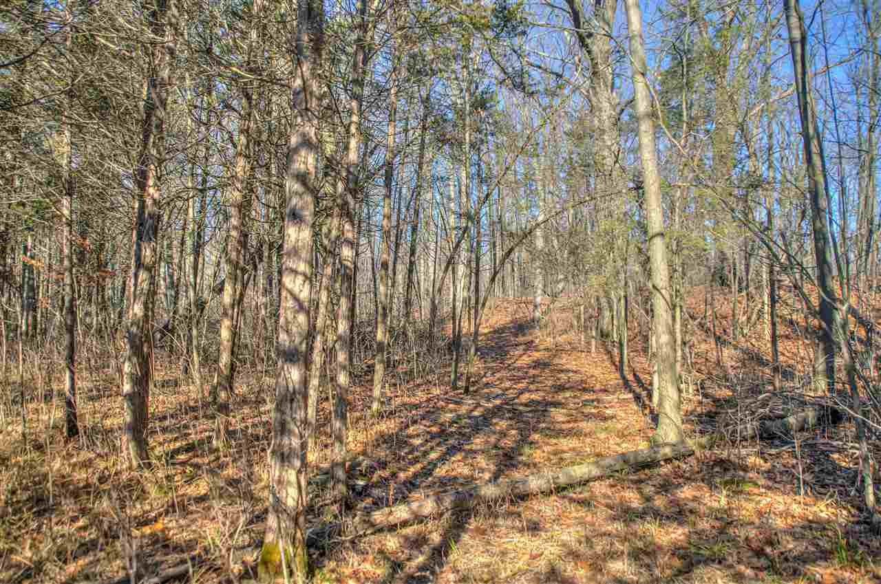 6551 Nye Road, Unit FISCHER'S DRIVE Hudson, MI 49247 - Photo 9 of 10 Photo 9
