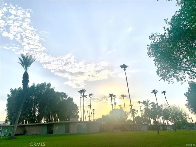 a view of a swimming pool with a yard and plants