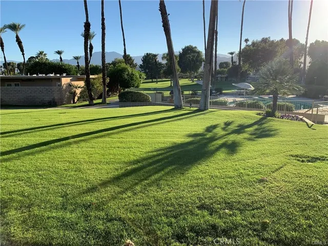 a view of a park with a large tree