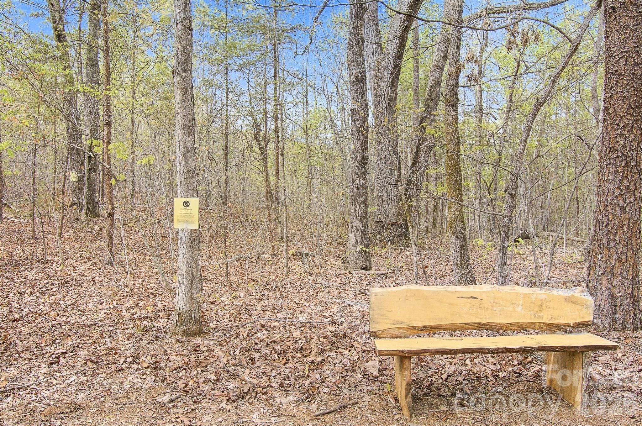 1003 Camp Creek Road Union Mills, NC 28167 - Photo 42 of 48