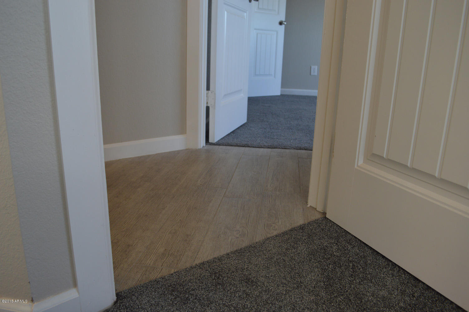 9402 East Fenimore Road Mesa, AZ 85207 - Photo 33 of 45 plush carpet