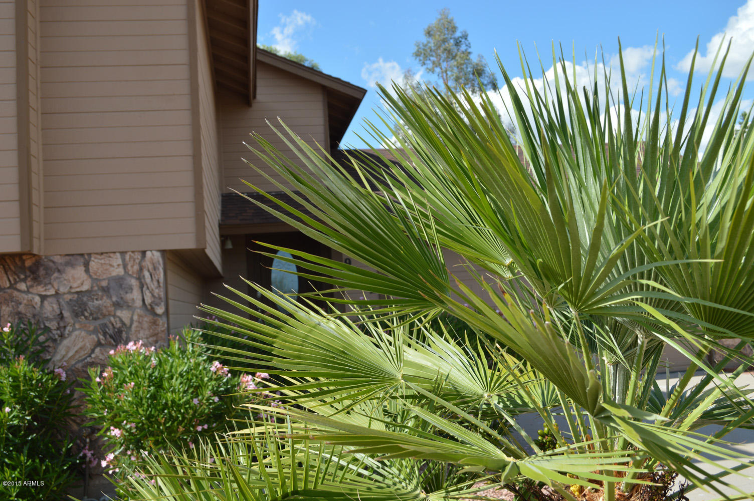 9402 East Fenimore Road Mesa, AZ 85207 - Photo 43 of 45 9402 fenimore_Mesa AZ_Homes for Sale_4 b