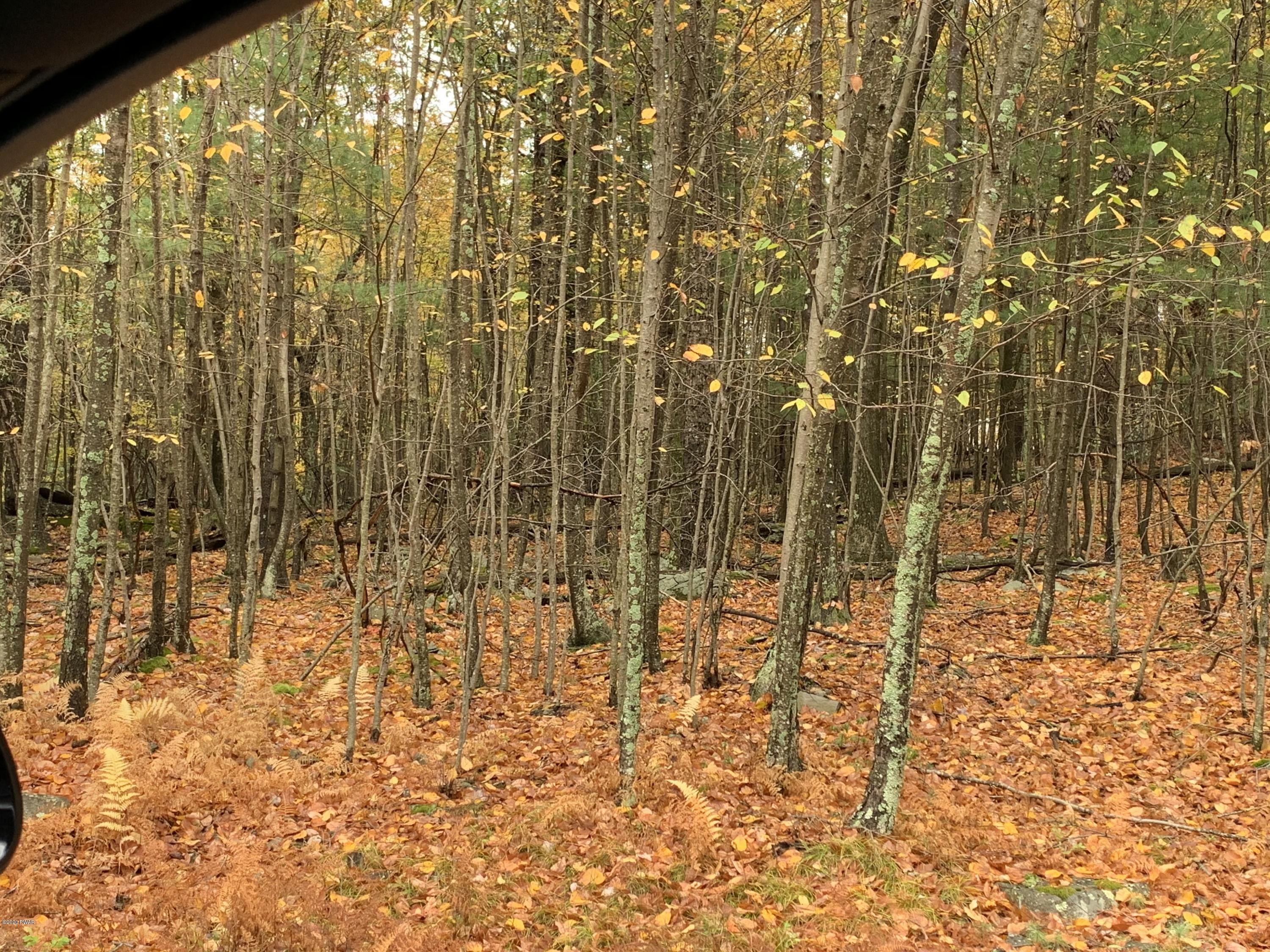 Lot 316 Nelson Road Milford, PA 18337 - Photo 3 of 7 Flat Usauable Land