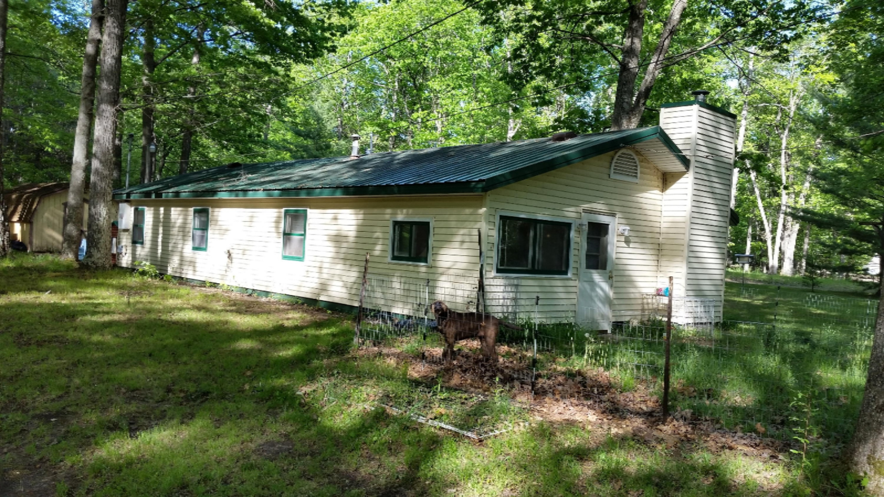 6534 East Borowski Road Fountain, MI 49410 - Photo 24 of 25 20160526_180412 - Copy (2)