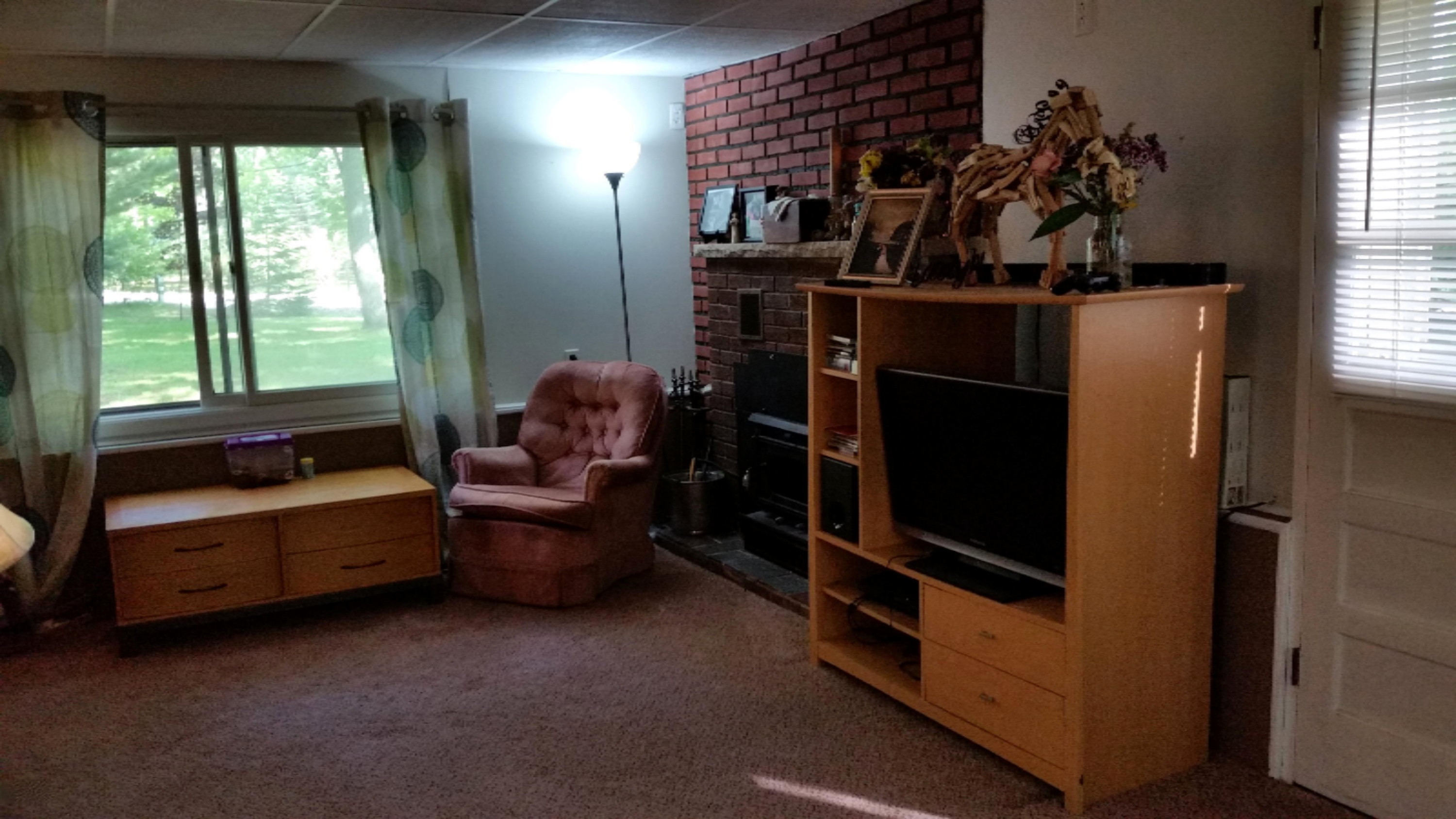 6534 East Borowski Road Fountain, MI 49410 - Photo 5 of 25 20160526_174745