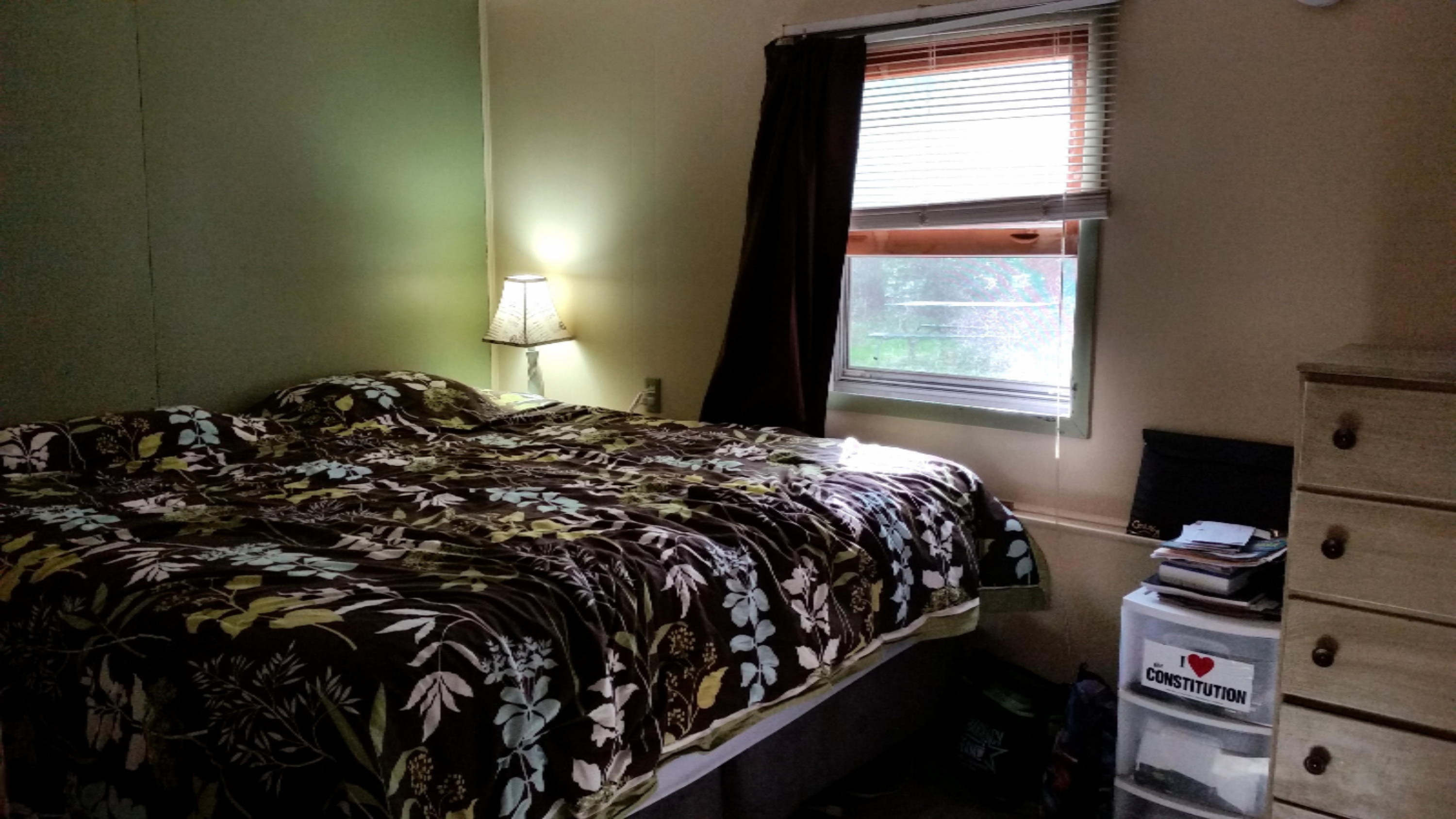 6534 East Borowski Road Fountain, MI 49410 - Photo 10 of 25 20160526_174906