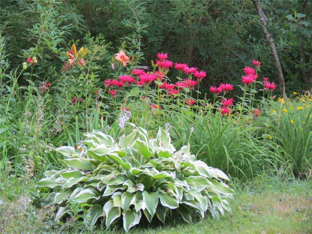 191 Lake Road Wilton, ME 04294 - Photo 28 of 35 Photo