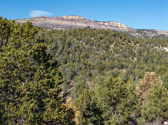 6 South N Frk Road Orderville, UT 84758 - Photo 19 of 68 Mountain view featuring a forest
