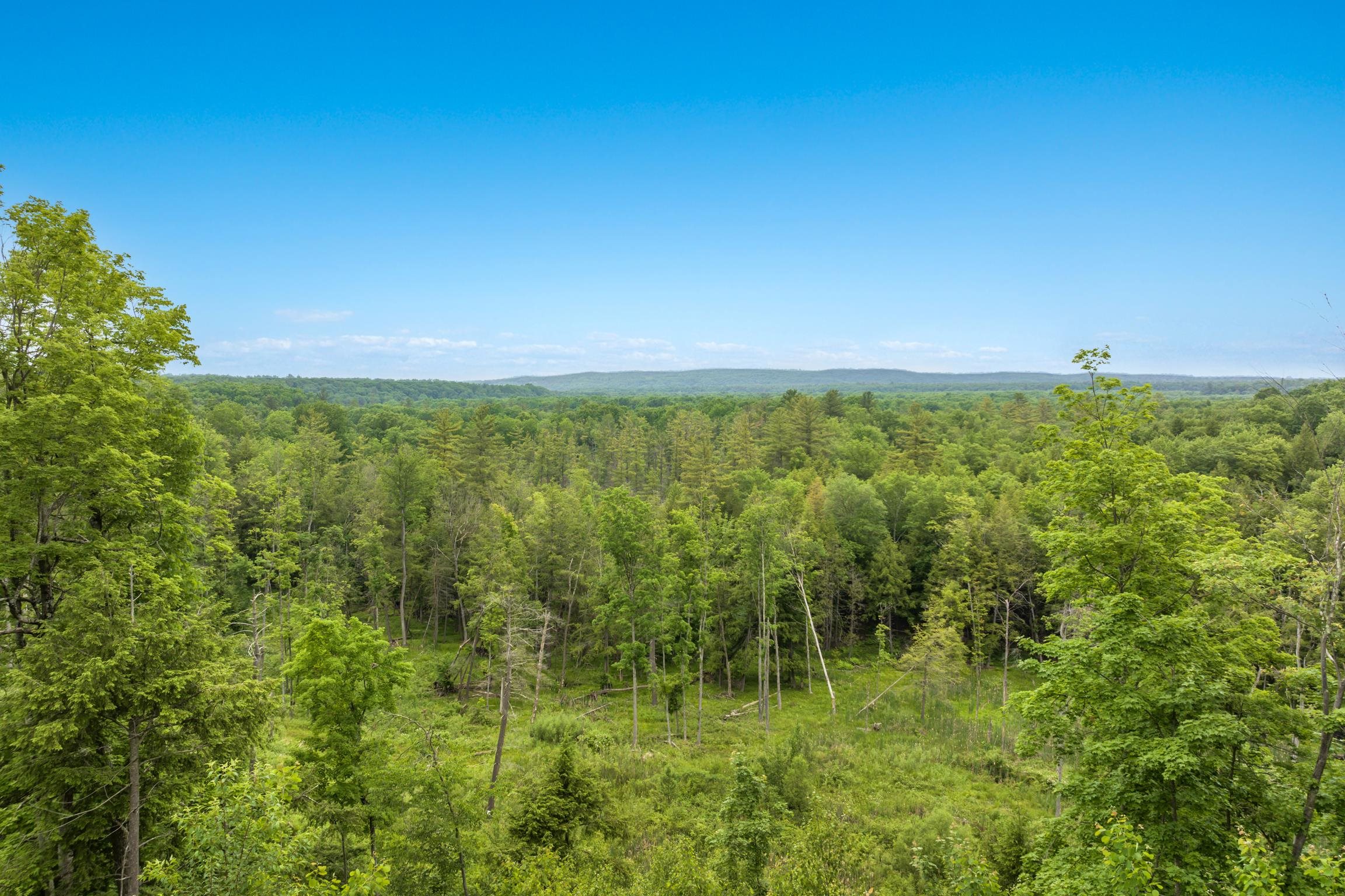 9644 Guenthardt Road Manistee, MI 49660 - Photo 4 of 41