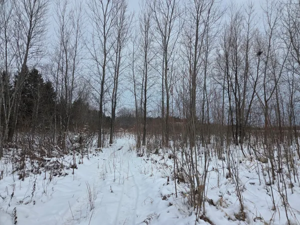 $735,000 | 4503 Carstens Lake Road, Newton, WI 54220
