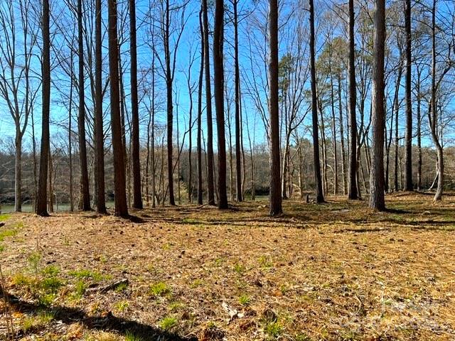 133 Dockside Lane Statesville, NC 28677 - Photo 11 of 15